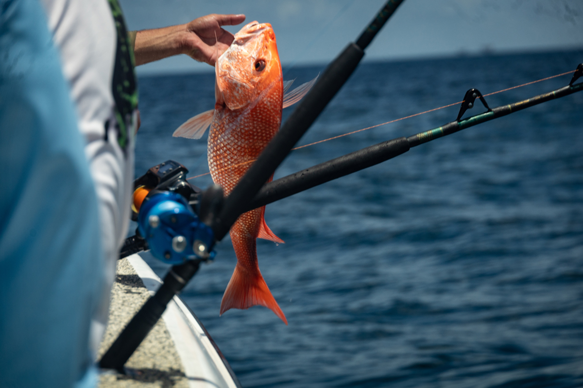 A picture of Steinhatchee Fishing Adventures: Inshore, Offshore & More