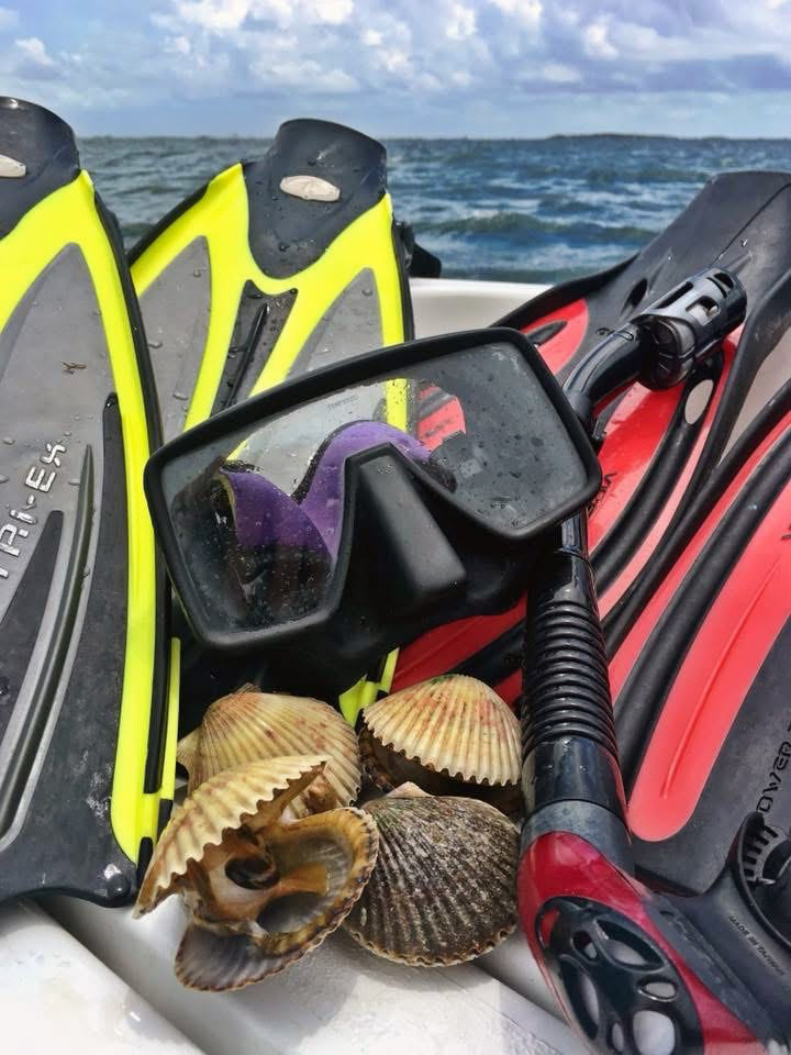 A picture of Scalloping Steinhatchee | Big Bend Guided Scallop Trips