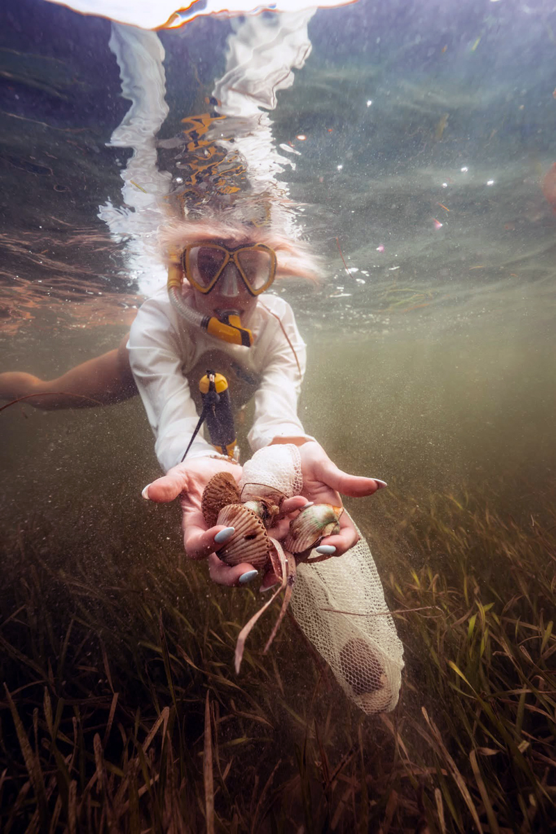 A picture of Best Places for Scalloping near Steinhatchee