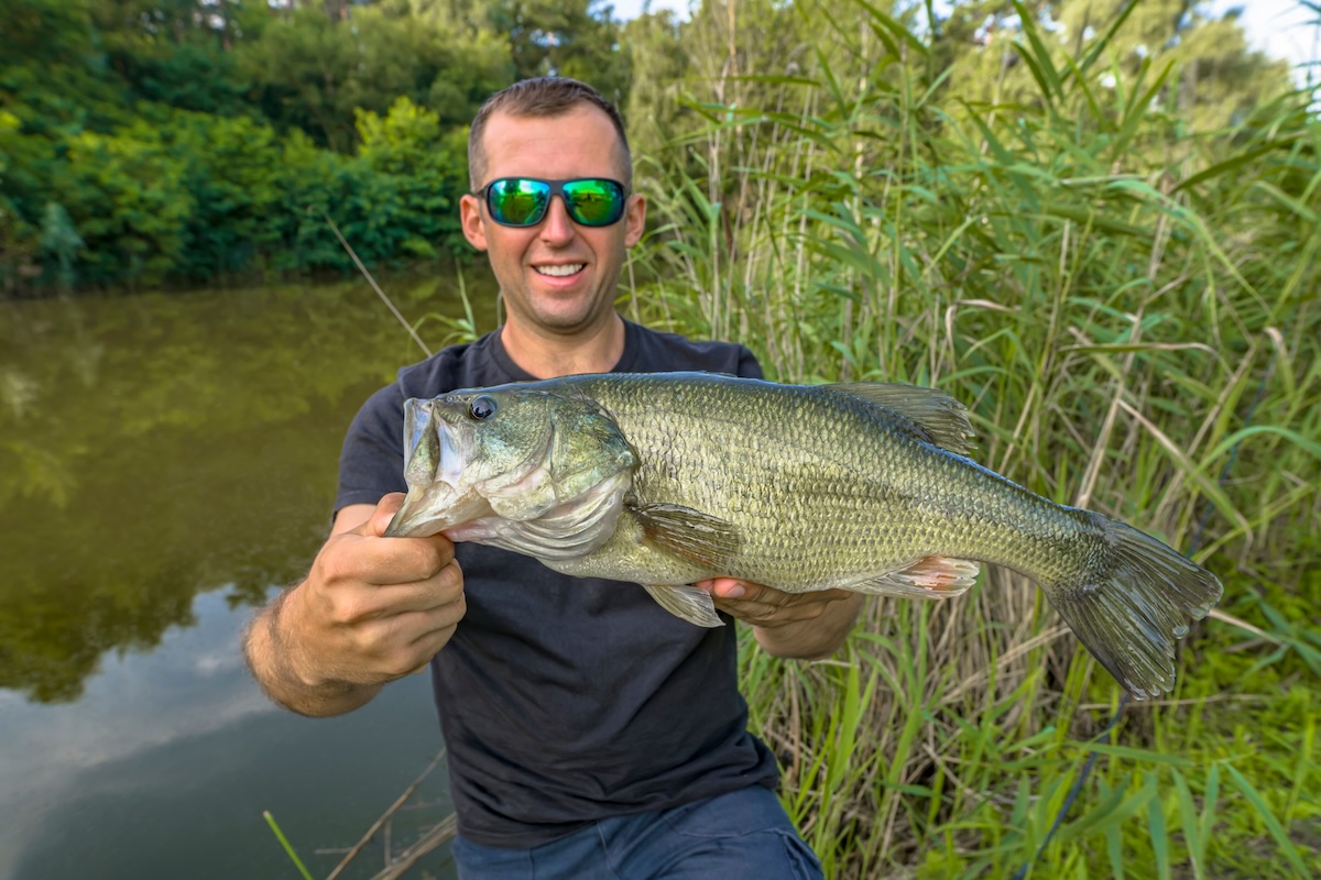 A picture of Florida's Big Bend: Trophy Bass Fishing & Inshore Action