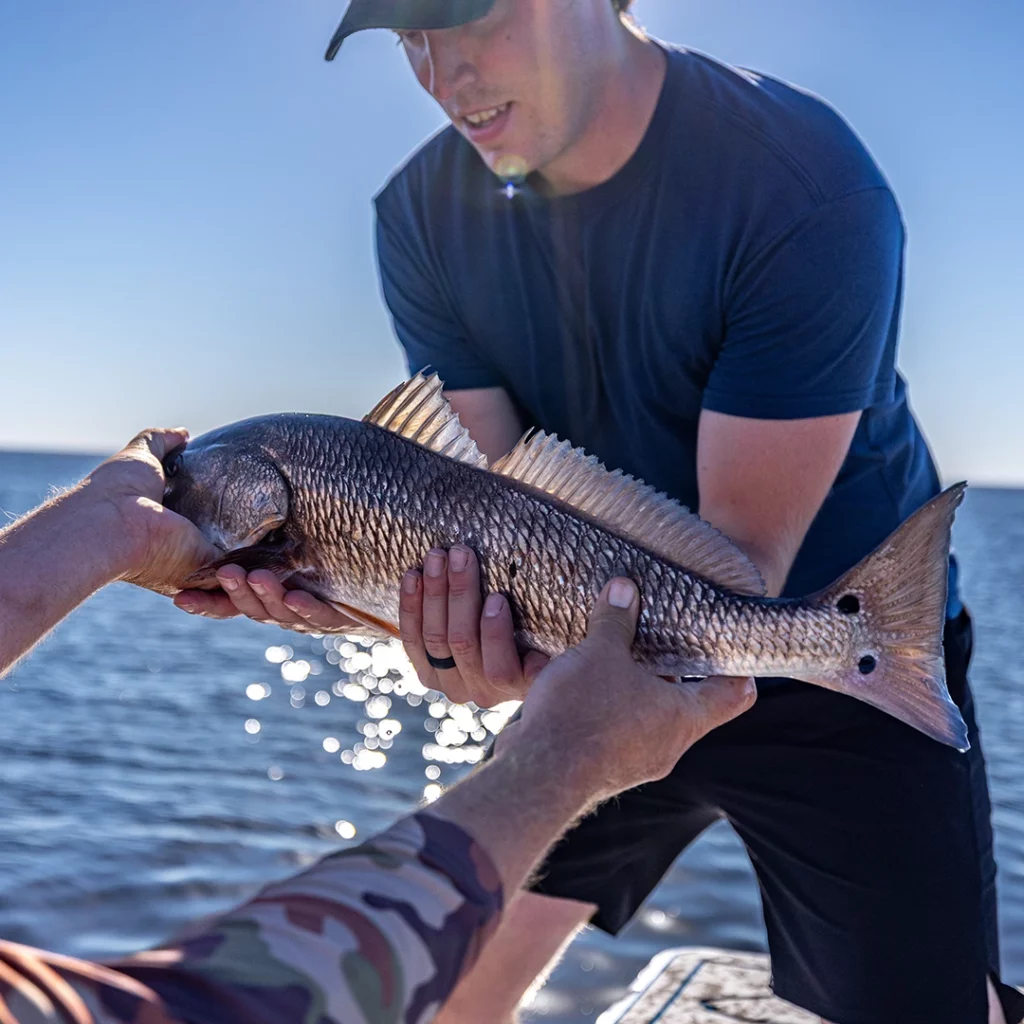 A picture of Inshore Fishing Charters