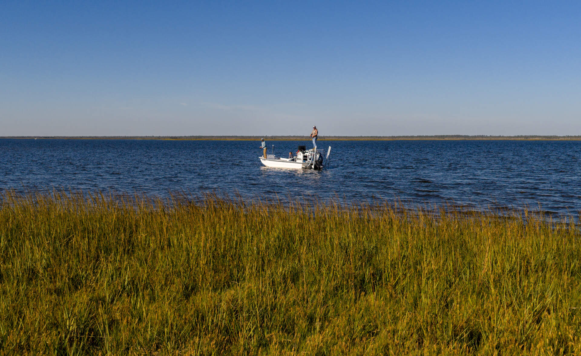 A picture of Where to Stay for Scallop Season on Apalachee Bay