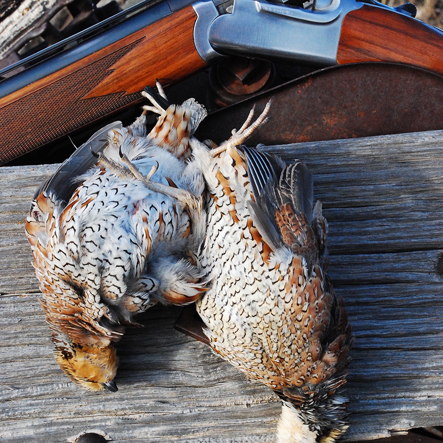 A picture of Hunting